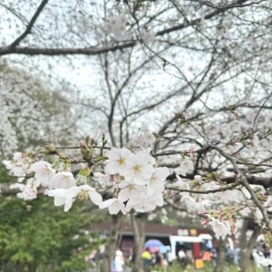 春暖花开 约会女神丨太阳集团娱乐所有网站集团关爱女职工运动